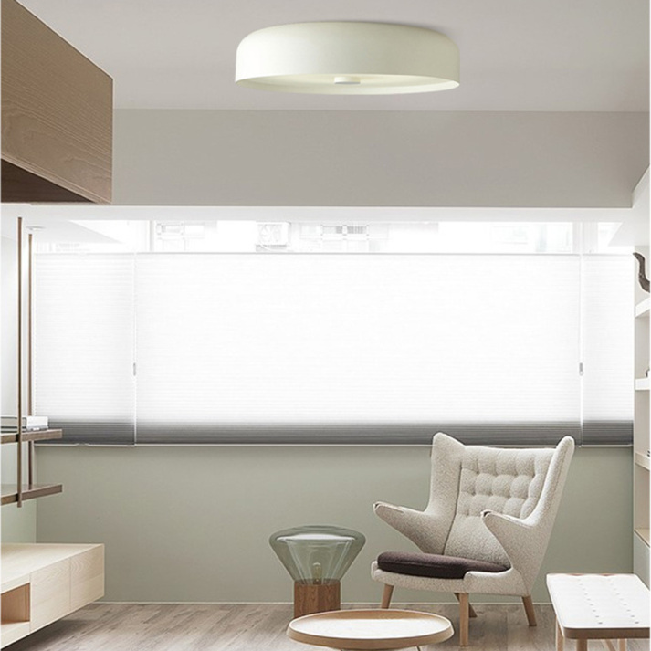 Skandynawska minimalistyczna lampa sufitowa w stylu vintage